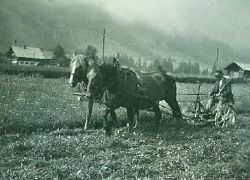 Roosmaawerch (Leonhard Höck/Leogang)