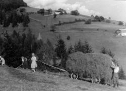 haign (Schrattenegg in Leogang 1937)