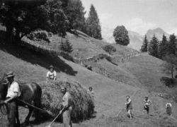 haign (Summeraubauer 1940 in Leogang)