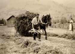 haign (Metzgerwirt in Leogang 1950)