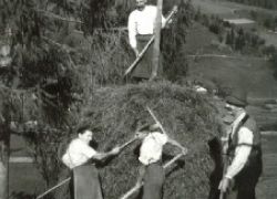 Haitrist (Grundnerhalt/Leogang 1945)