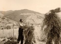 Hii(n)fea (Metzgerwirt/Leogang 1950)