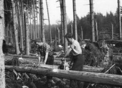 åotriman (Leonhard Höck/Leogang)