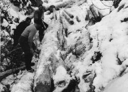 huizn (Bergbaumuseum Leogang 1965)