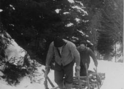 Bognschliidn (Gertraud Weißbacher  1935/Leogang)