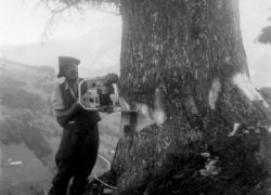 Motorsåog (Leogang 1958 von Gertraud Weißbacher)