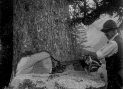 Motorsåog (Leogang 1958 von Gertraud Weißbacher)