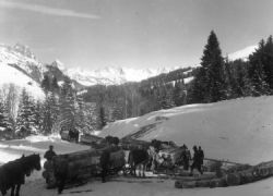 Ståffeplåoz (Leogang 1955)